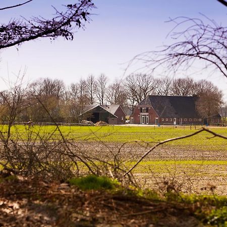 Bed And Breakfast Geertruidahoeve Hellendoorn Kültér fotó